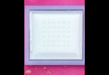 🌸 Danna Free Powder